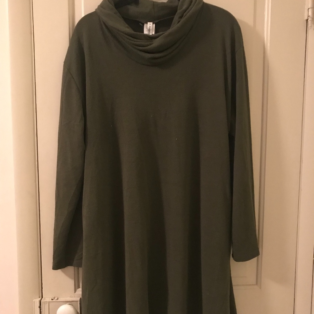 Cowl Neck Sweater Dress (1X)